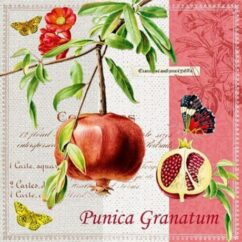 75327 Punica Granatum xartopetsetes gia decoupage eidh xeirotexnias decomagia scaled